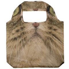 Cute Persian Catface In Closeup Foldable Grocery Recycle Bag by Amaryn4rt