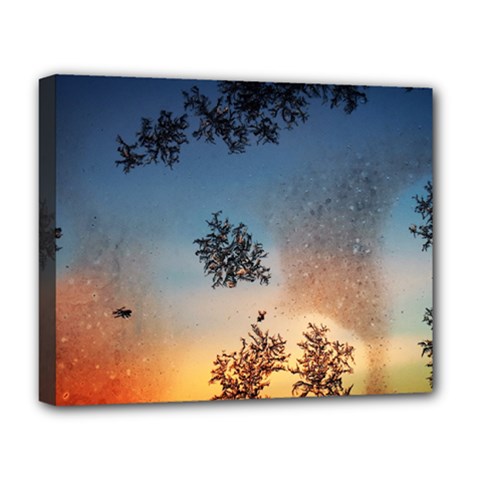 Hardest-frost-winter-cold-frozen Deluxe Canvas 20  X 16  (stretched) by Amaryn4rt