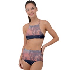 Hardest-frost-winter-cold-frozen Halter Tankini Set by Amaryn4rt