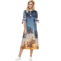 Hardest-frost-winter-cold-frozen Bow Sleeve Chiffon Midi Dress by Amaryn4rt