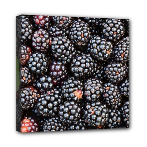 Blackberries-background-black-dark Mini Canvas 8  X 8  (stretched) by Amaryn4rt