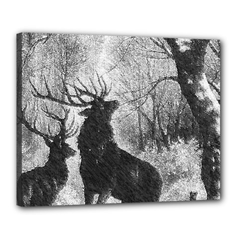 Stag-deer-forest-winter-christmas Canvas 20  X 16  (stretched) by Amaryn4rt