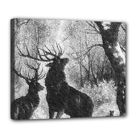 Stag-deer-forest-winter-christmas Deluxe Canvas 24  X 20  (stretched) by Amaryn4rt