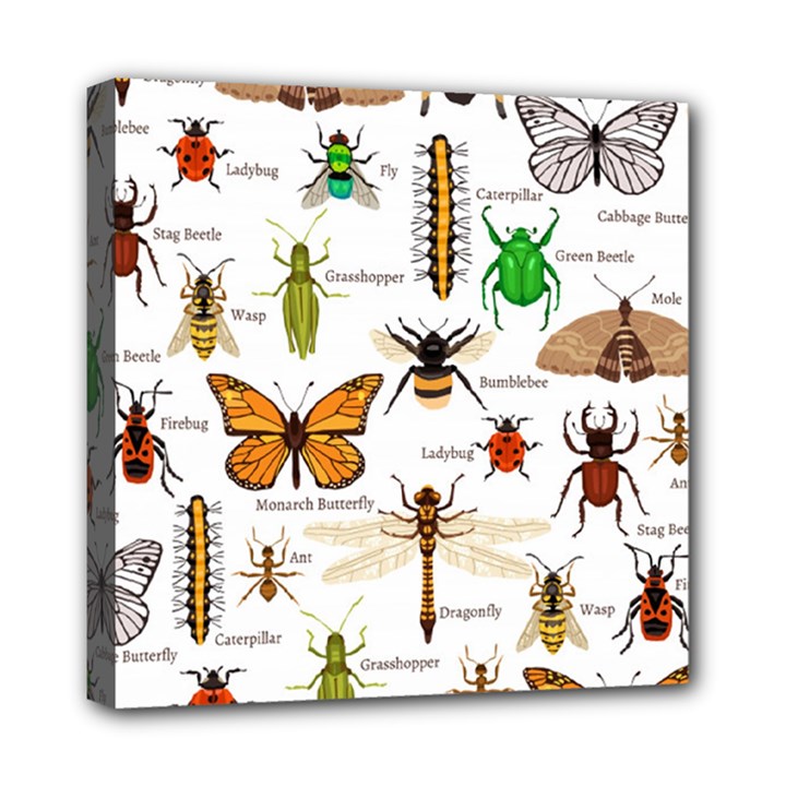 Insects-seamless-pattern Mini Canvas 8  x 8  (Stretched)