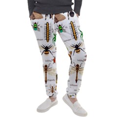 Insects-seamless-pattern Men s Jogger Sweatpants by Amaryn4rt