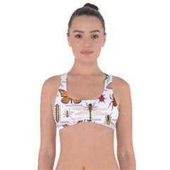 Insects-seamless-pattern Got No Strings Sports Bra by Amaryn4rt