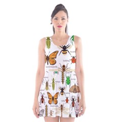 Insects-seamless-pattern Scoop Neck Skater Dress