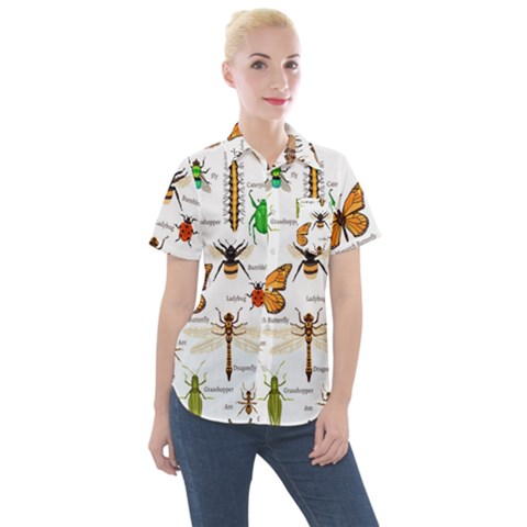 Insects-seamless-pattern Women s Short Sleeve Pocket Shirt by Amaryn4rt