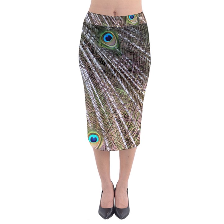 Peacock-feathers-pattern-colorful Midi Pencil Skirt