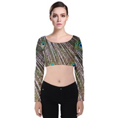 Peacock-feathers-pattern-colorful Velvet Long Sleeve Crop Top by Amaryn4rt