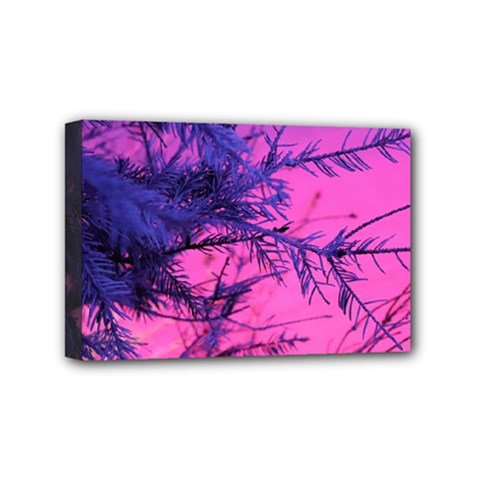 Fir Sunset Frost Snow Mini Canvas 6  X 4  (stretched) by Pakjumat