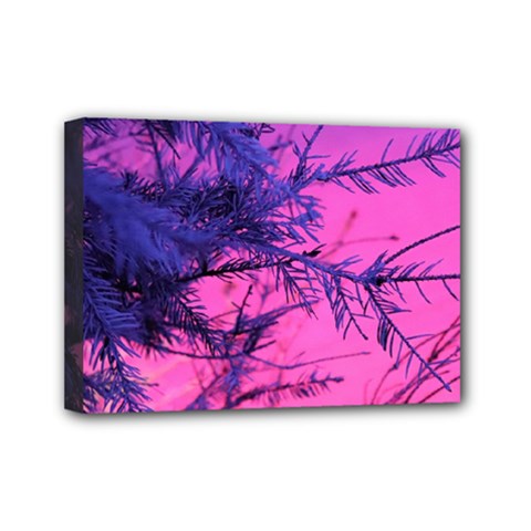 Fir Sunset Frost Snow Mini Canvas 7  X 5  (stretched) by Pakjumat