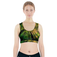 Landscape Night Moon Star Nature Sports Bra With Pocket by Pakjumat