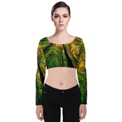 Landscape Night Moon Star Nature Velvet Long Sleeve Crop Top by Pakjumat