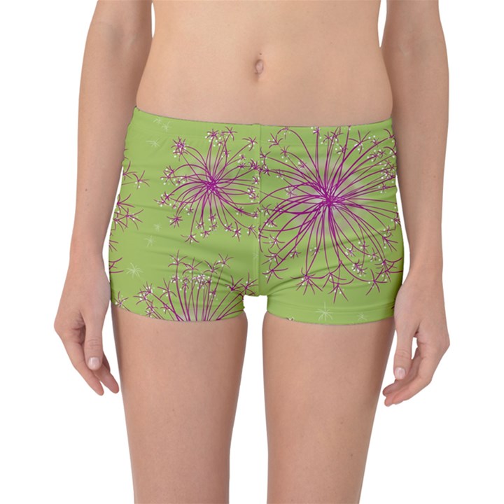 Dandelion Flower Background Nature Flora Drawing Boyleg Bikini Bottoms