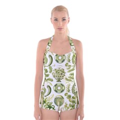 Algae Green Algae Chlorophyceae Boyleg Halter Swimsuit  by Pakjumat