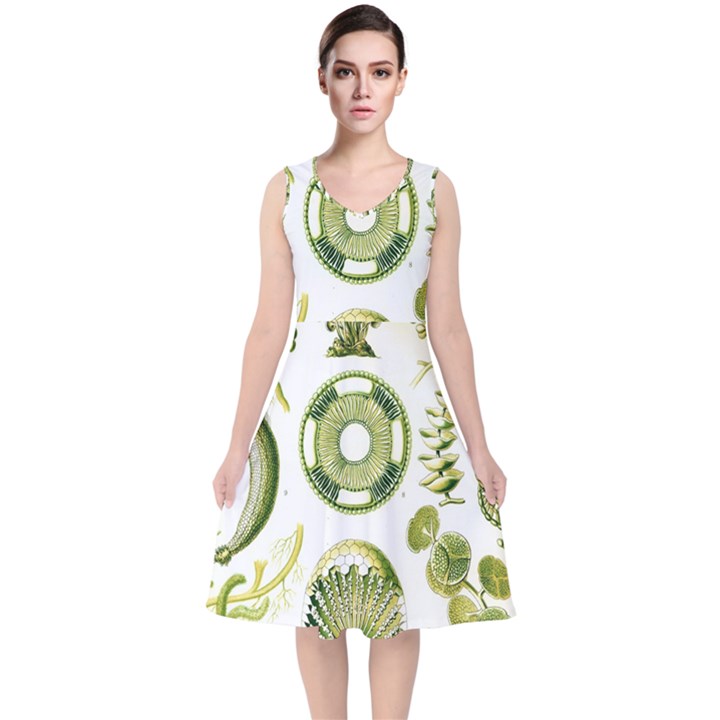 Algae Green Algae Chlorophyceae V-Neck Midi Sleeveless Dress 