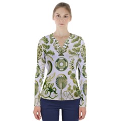 Algae Green Algae Chlorophyceae V-neck Long Sleeve Top by Pakjumat