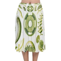 Algae Green Algae Chlorophyceae Velvet Flared Midi Skirt by Pakjumat