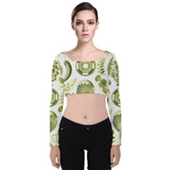 Algae Green Algae Chlorophyceae Velvet Long Sleeve Crop Top by Pakjumat