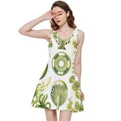 Algae Green Algae Chlorophyceae Inside Out Racerback Dress by Pakjumat