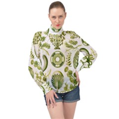 Algae Green Algae Chlorophyceae High Neck Long Sleeve Chiffon Top by Pakjumat