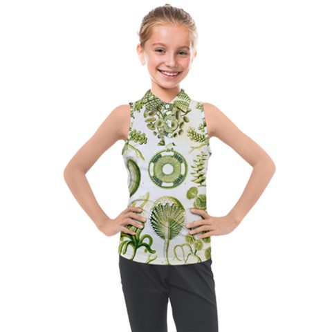 Algae Green Algae Chlorophyceae Kids  Sleeveless Polo T-shirt by Pakjumat