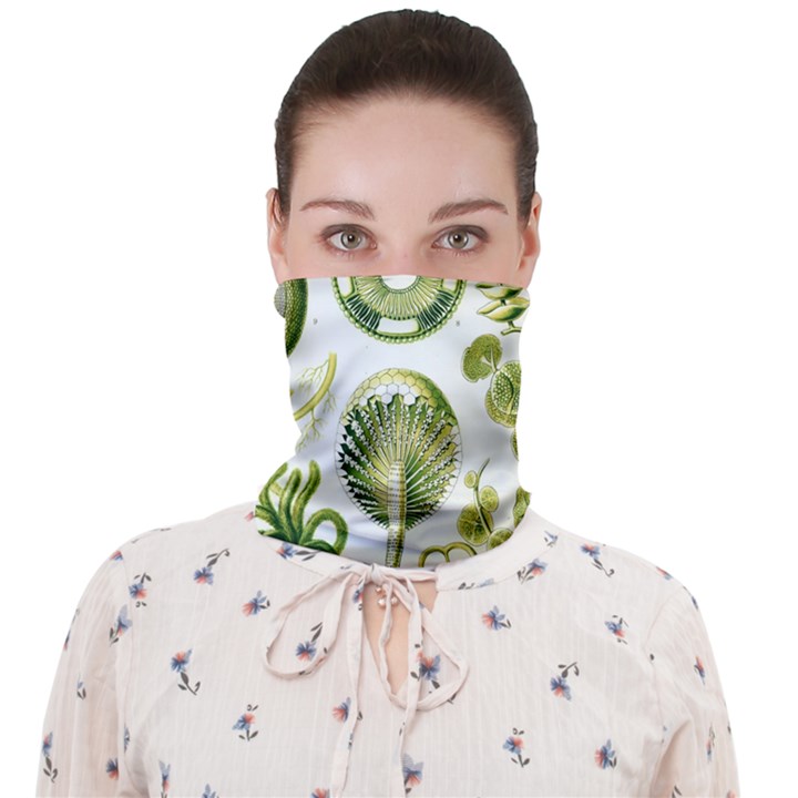 Algae Green Algae Chlorophyceae Face Covering Bandana (Adult)