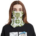 Algae Green Algae Chlorophyceae Face Covering Bandana (Two Sides) View1