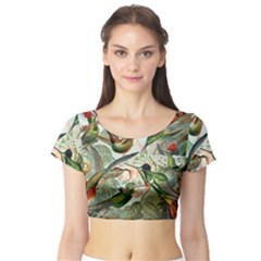 Humming Birds Trochilidae Short Sleeve Crop Top by Pakjumat