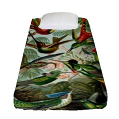 Humming Birds Trochilidae Fitted Sheet (single Size) by Pakjumat