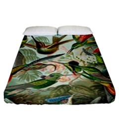 Humming Birds Trochilidae Fitted Sheet (queen Size) by Pakjumat