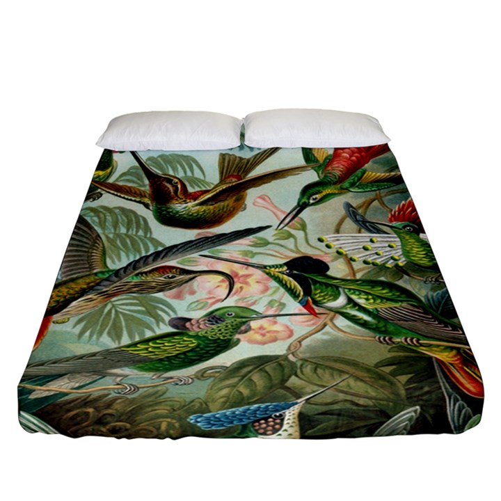 Humming Birds Trochilidae Fitted Sheet (Queen Size)