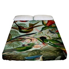 Humming Birds Trochilidae Fitted Sheet (king Size) by Pakjumat