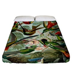 Humming Birds Trochilidae Fitted Sheet (california King Size) by Pakjumat