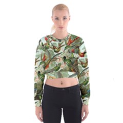 Humming Birds Trochilidae Cropped Sweatshirt by Pakjumat