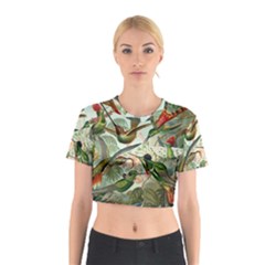 Humming Birds Trochilidae Cotton Crop Top by Pakjumat