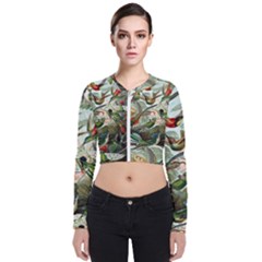 Humming Birds Trochilidae Long Sleeve Zip Up Bomber Jacket by Pakjumat