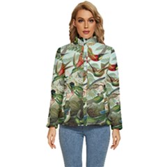 Humming Birds Trochilidae Women s Puffer Bubble Jacket Coat by Pakjumat