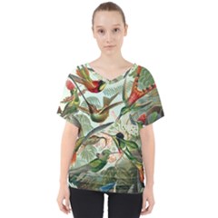 Humming Birds Trochilidae V-neck Dolman Drape Top by Pakjumat