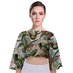 Humming Birds Trochilidae Tie Back Butterfly Sleeve Chiffon Top by Pakjumat