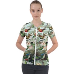 Humming Birds Trochilidae Short Sleeve Zip Up Jacket by Pakjumat