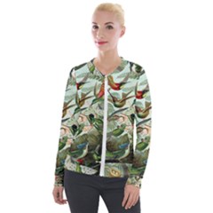 Humming Birds Trochilidae Velvet Zip Up Jacket by Pakjumat