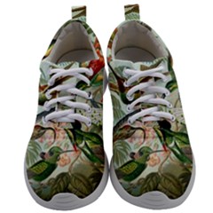 Humming Birds Trochilidae Mens Athletic Shoes by Pakjumat