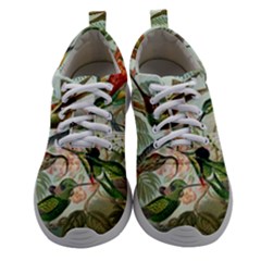 Humming Birds Trochilidae Women Athletic Shoes by Pakjumat