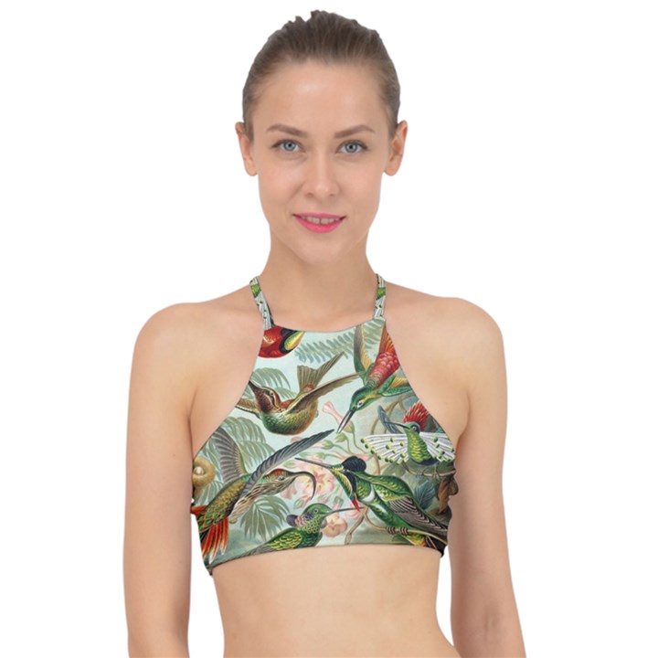 Humming Birds Trochilidae Halter Bikini Top