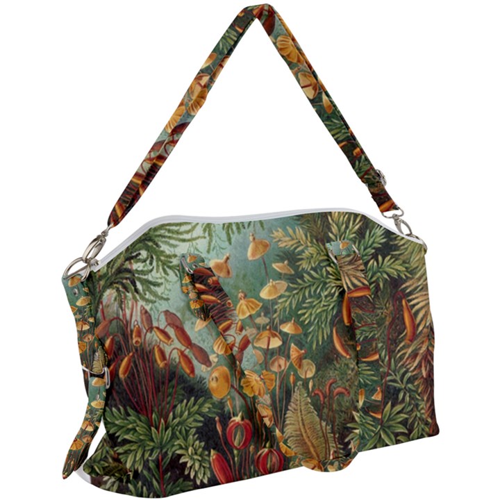 Moose Eurhynchium Haeckel Muscinae Canvas Crossbody Bag