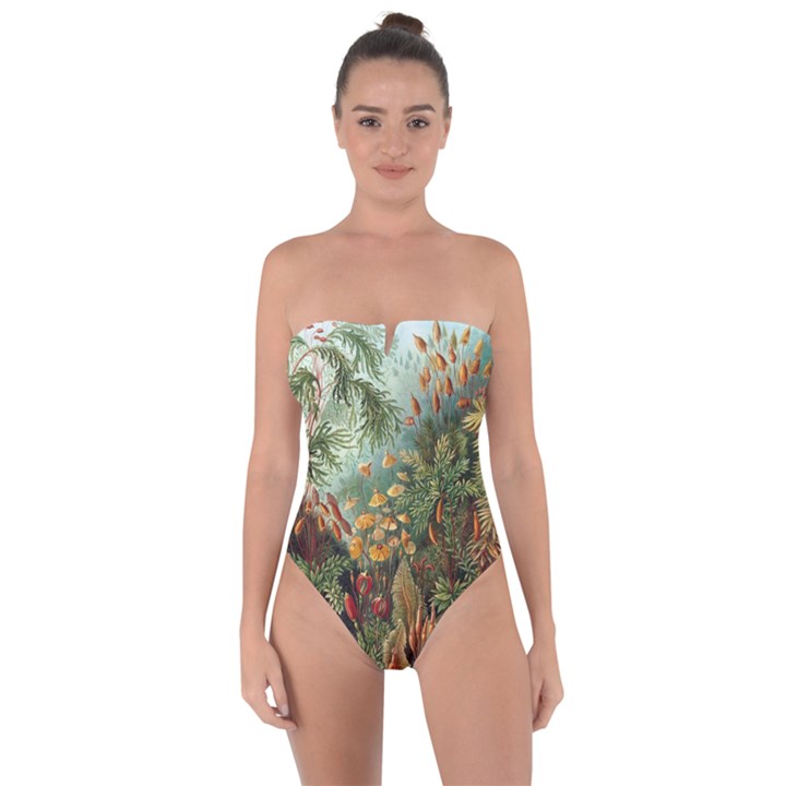 Moose Eurhynchium Haeckel Muscinae Tie Back One Piece Swimsuit