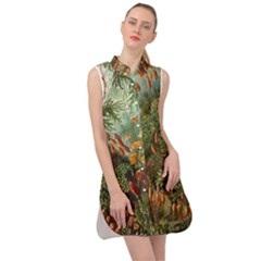 Moose Eurhynchium Haeckel Muscinae Sleeveless Shirt Dress by Pakjumat