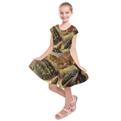 Turtles Leatherback Sea Turtle Kids  Short Sleeve Dress by Pakjumat